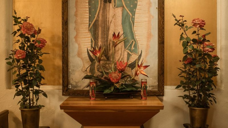 To Our Lady of Guadalupe